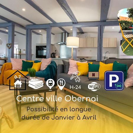 Le Nid Cosy D'Obernai /2Min Centre Ville/Parking Εξωτερικό φωτογραφία