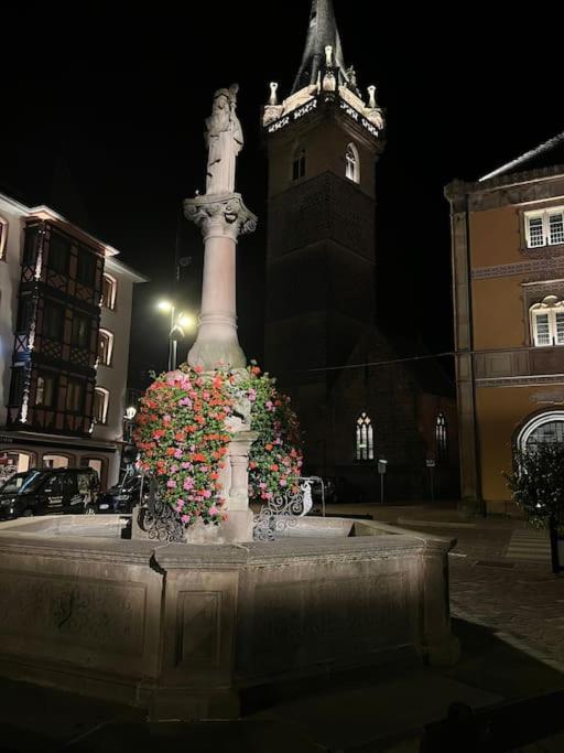 Le Nid Cosy D'Obernai /2Min Centre Ville/Parking Εξωτερικό φωτογραφία