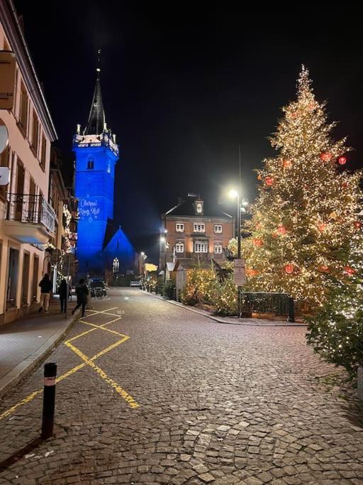 Le Nid Cosy D'Obernai /2Min Centre Ville/Parking Εξωτερικό φωτογραφία