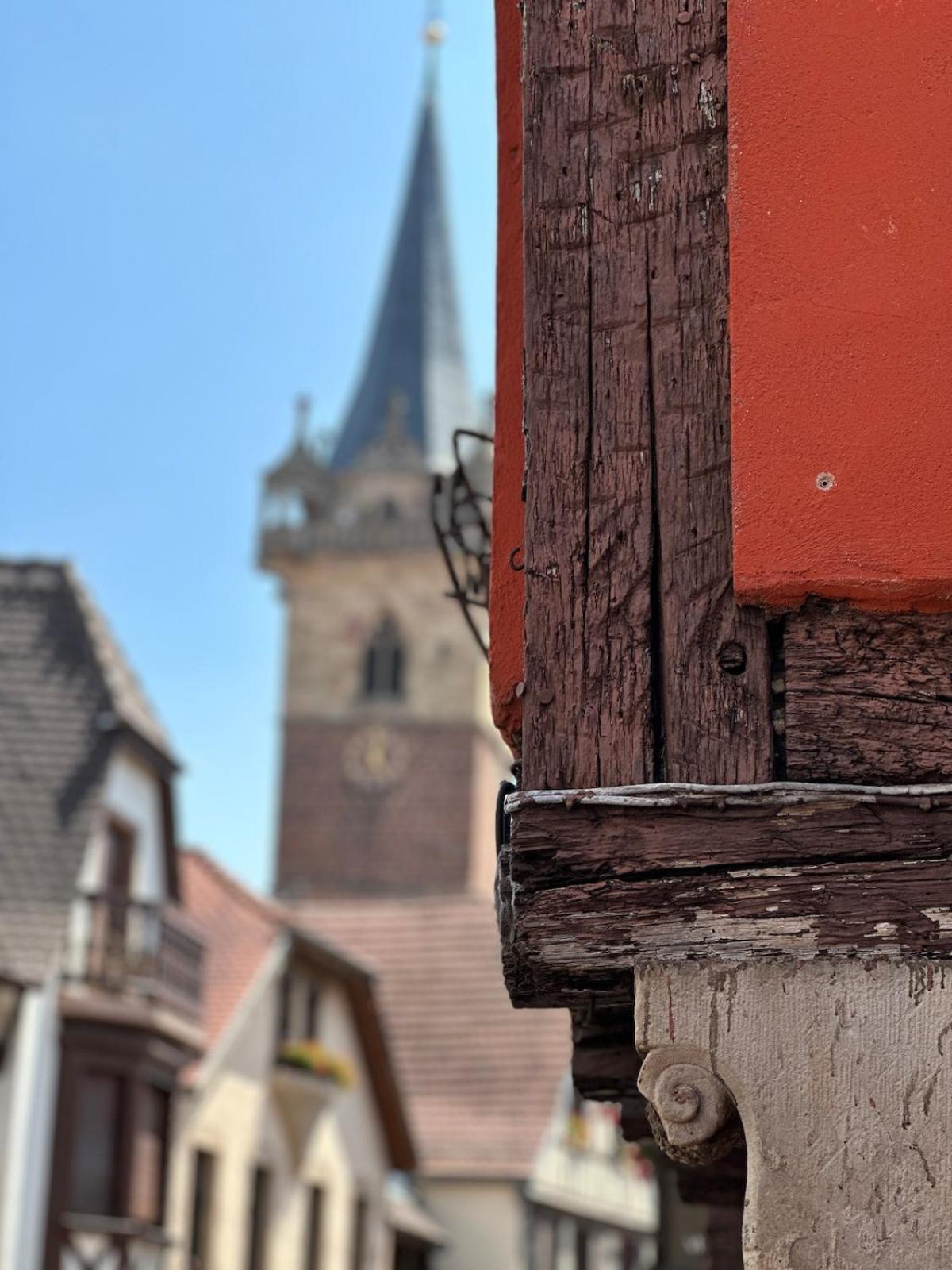 Le Nid Cosy D'Obernai /2Min Centre Ville/Parking Εξωτερικό φωτογραφία