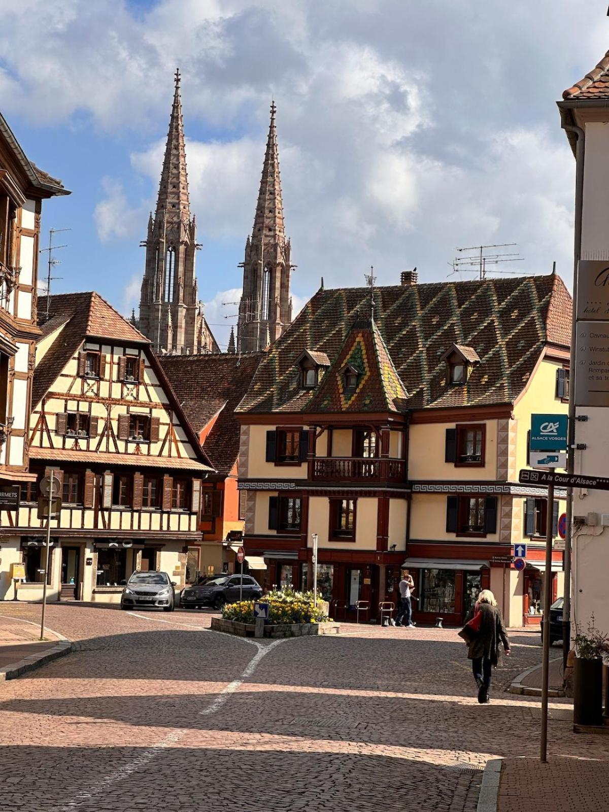 Le Nid Cosy D'Obernai /2Min Centre Ville/Parking Εξωτερικό φωτογραφία