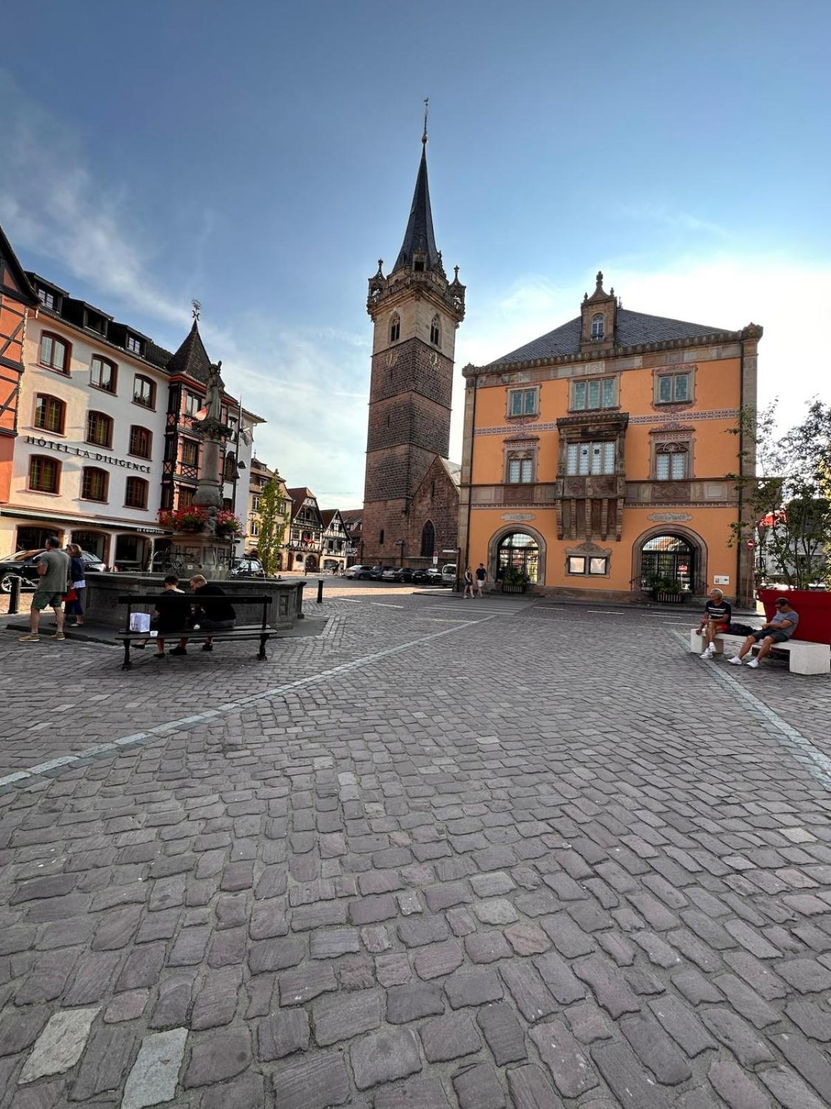Le Nid Cosy D'Obernai /2Min Centre Ville/Parking Εξωτερικό φωτογραφία