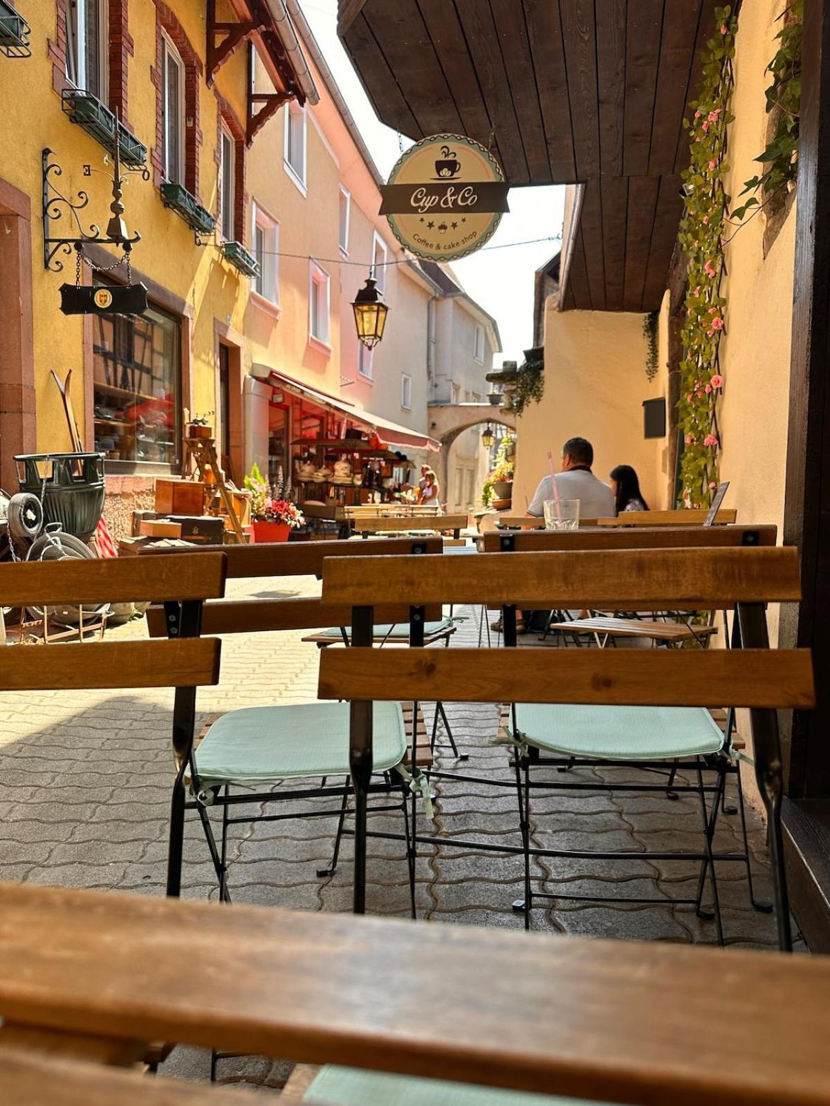 Le Nid Cosy D'Obernai /2Min Centre Ville/Parking Εξωτερικό φωτογραφία