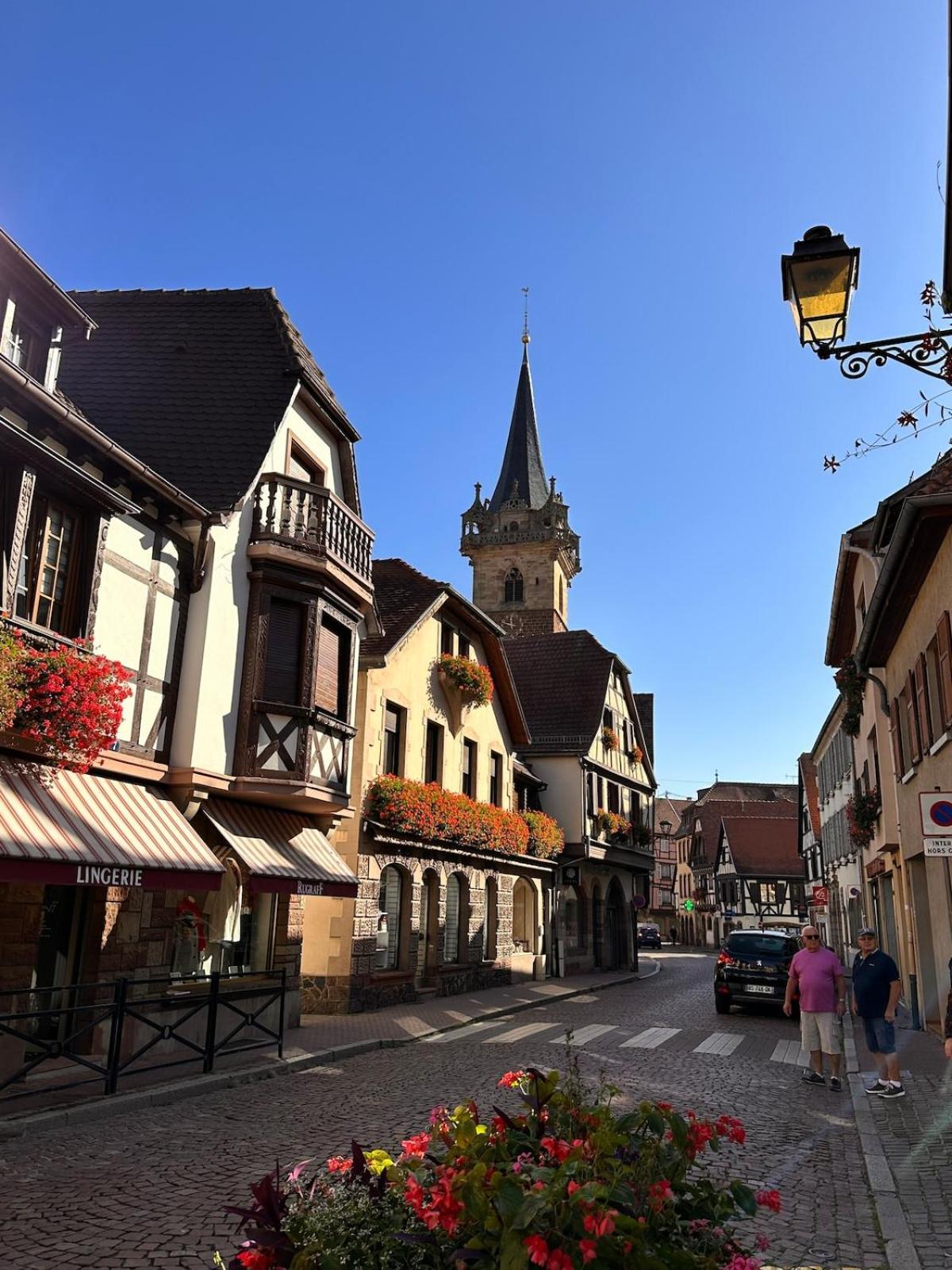 Le Nid Cosy D'Obernai /2Min Centre Ville/Parking Εξωτερικό φωτογραφία