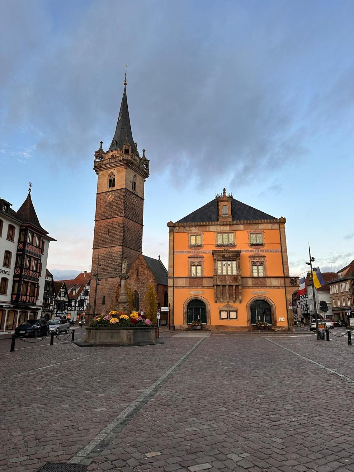 Le Nid Cosy D'Obernai /2Min Centre Ville/Parking Εξωτερικό φωτογραφία