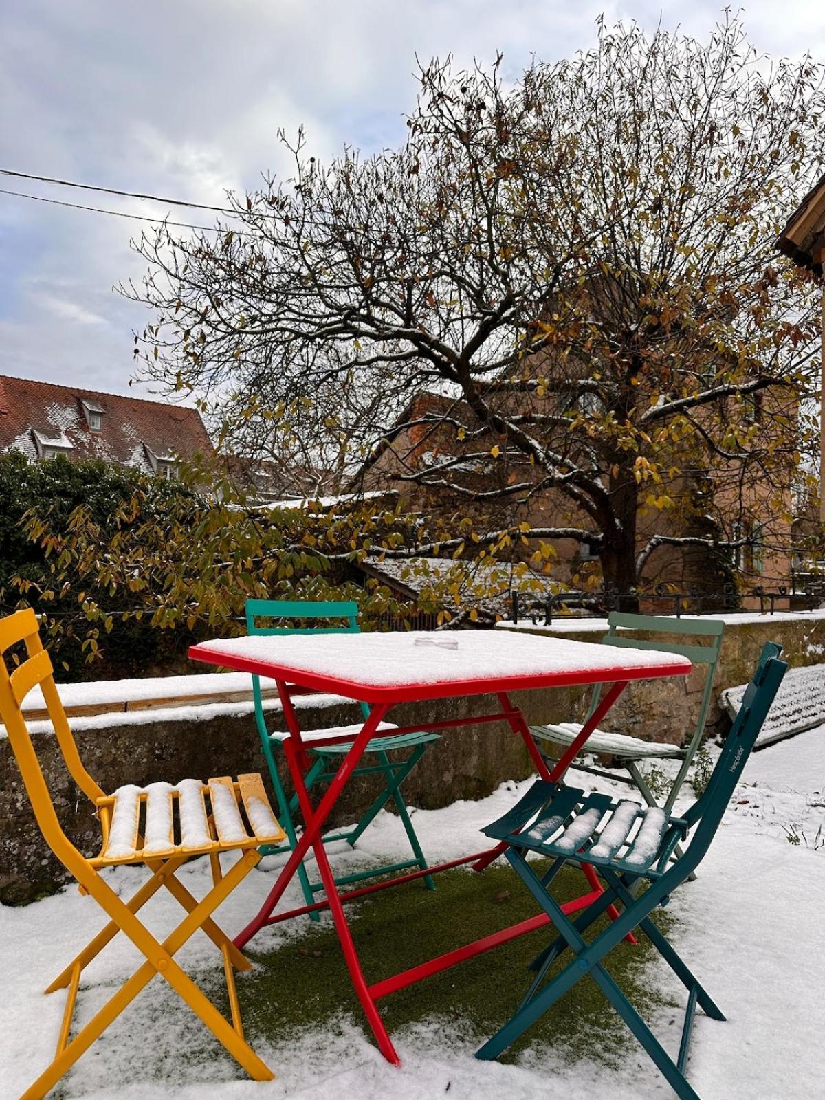 Le Nid Cosy D'Obernai /2Min Centre Ville/Parking Εξωτερικό φωτογραφία